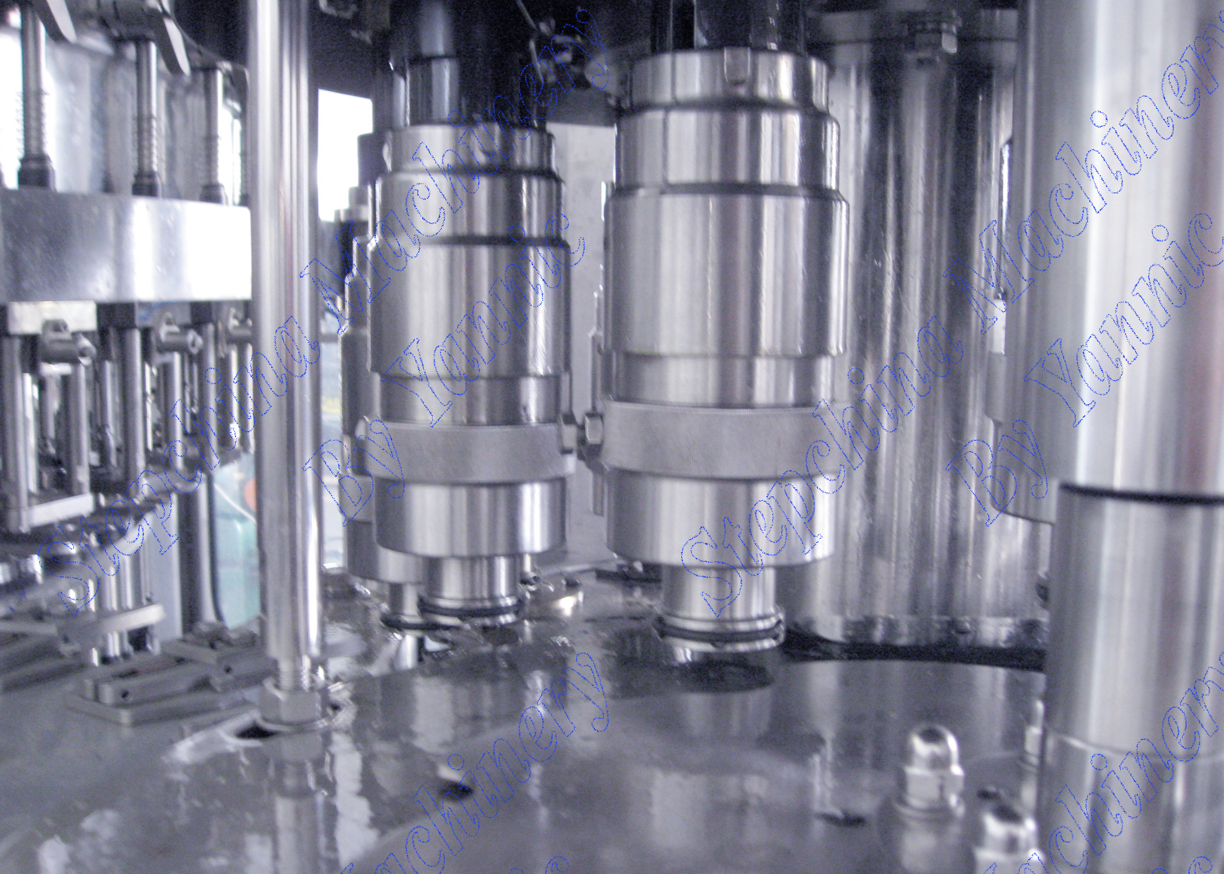 Stainless Steel Automatic Bottle Filling Machine With 12 Filling Heads