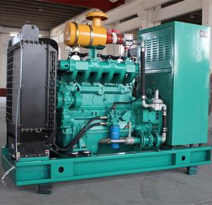 China 50kw 200kva LNG CNG Generator 100kw Gas Generator Power Station 3phase 380v factory