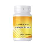 Grass Fed Bovine Collagen Peptide Supplement For Muscle Recovery Heralthy Skin