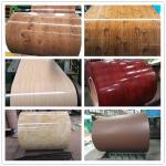 Prepainted Polymer Color Coated PPGI A653 G60 S350GD 0.12-4.0mm Galvanized Steel