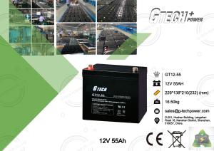 China Maintenance Free Sealed VRLA Regulated Lead Acid Battery 12v 55ah factory