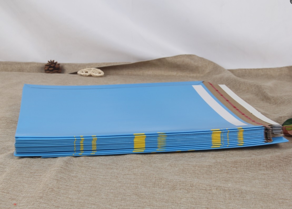 China Paper Document Envelope Pouch Custom Cardboard Document Mailer Envelopes 500mm factory