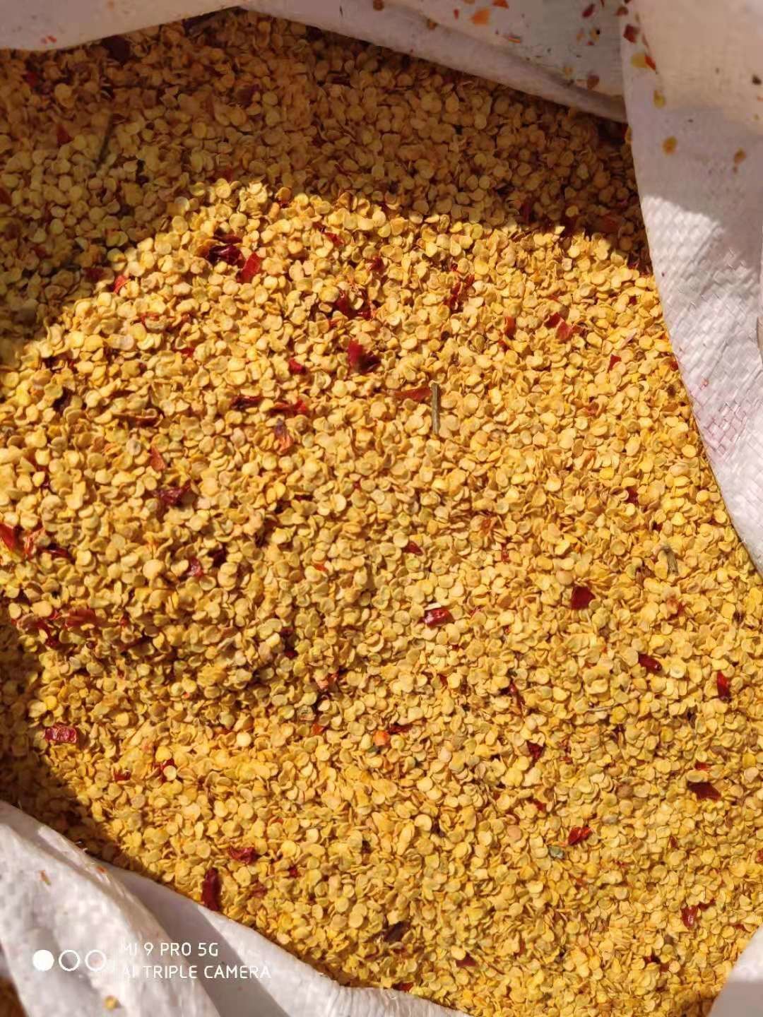 Tianjin Yidu Chilli Dried Red Pepper Seeds 5,000SHU-15,000SHU