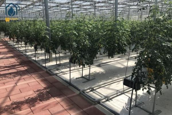 Agricultural Substrate Planting Gutter Steel Large Scale Hydroponic Planting