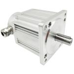48V 500 Watt Bldc Motor 80mm Flange 3000rpm