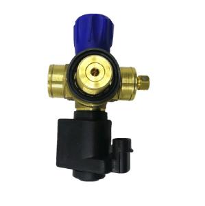 China Solenoid CNG Cylinder Valve Car Gas Valve DC12V For Auto Gas Fuel System factory