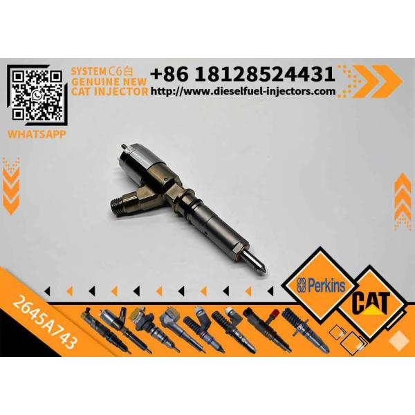 Common Rail Fuel Injector 321-0990 2645A743 for Caterpillar Excavator CAT C6.4