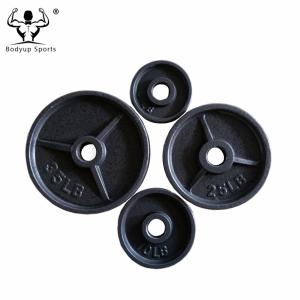 China Power Training Cast Iron Weight lifting Weight Plates with 3 Flanges factory