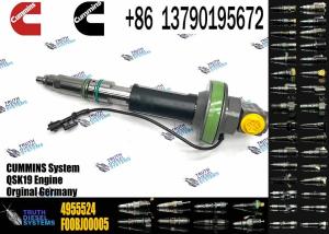 China 4964170 Diesel QSK19 Engine Common Rail Fuel Injector 4955524 2867149 4955527 2882079 4964173 factory