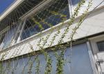 2mm Metal Wire Rope Trellis For Climbing Plants SUS316l 100x100mm