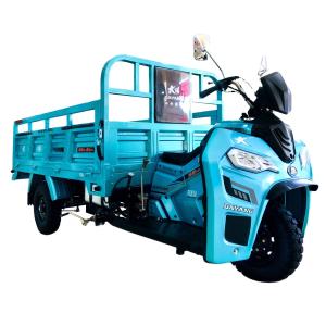 China Maximum Loaded 200cc/250cc/300cc Cargo Tricycle Motorized Driving Type 50*100 Chassis factory