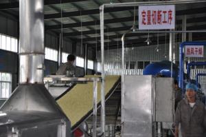 China Cereal Grain Fried Instant Noodles Machinery Manufacturers 50hz Frequency factory