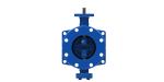 Double Eccentric Butterfly Valve