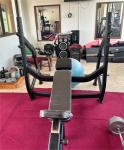 Befreeman High Quality Gym Equipment Wholesale Hot Sale Incline Bench Pin Load