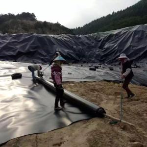 China HDPE Geomembrane Onsite Inspection After-sale Service for Fish Farms and Pond Lining factory