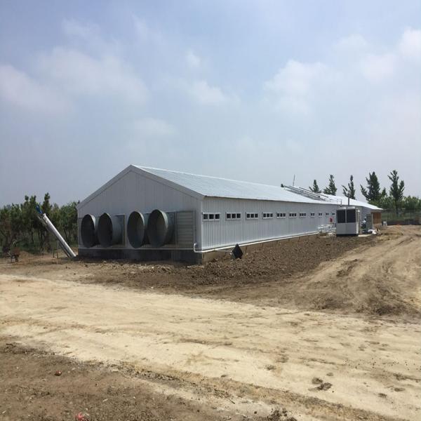 China Poultry Farm Chicken House Light Prefabricated Steel Structure Building factory
