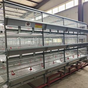 China Poultry Farming Equipment Hot Galvanized H Type Automatic System Battery Broiler Chicken Cage factory