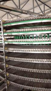 China Stainless Steel Conveyor System for Fruit Washing and Drying Machine factory
