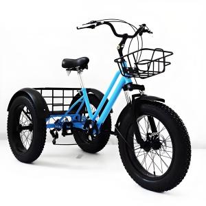 China Adults Pedal Cargo 3 Wheel Fat Tire Bike 20*4.0 Disc Brake 7 Speed Tricycle factory