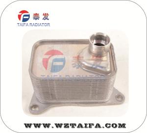 China 06L117021E oil cooler Volkswagen Jetta Hybrid Polo MK5 TSI Audi factory