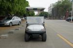 4 Seater Electric Golf Cart With Rear Small Cargo CE Approved
