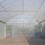 Metal Frame Hothouse Vegtable Hoop House High Tunnel Greenhouse with Rolling