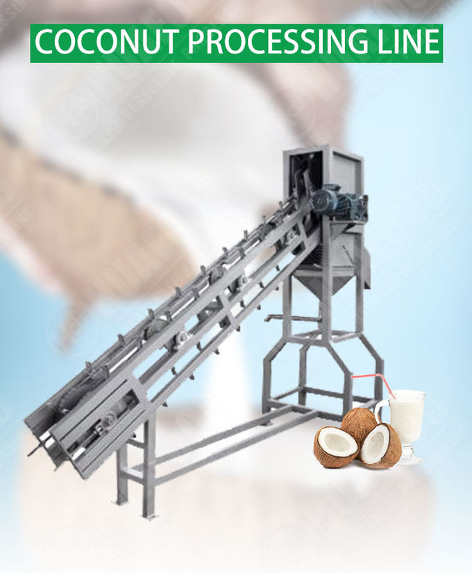 CE ISO Fruit And Vegetable Processing Line Coconut Processing Line