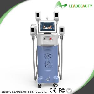 China Cryo fat freeze for body cryolipolysis body slimming machine factory