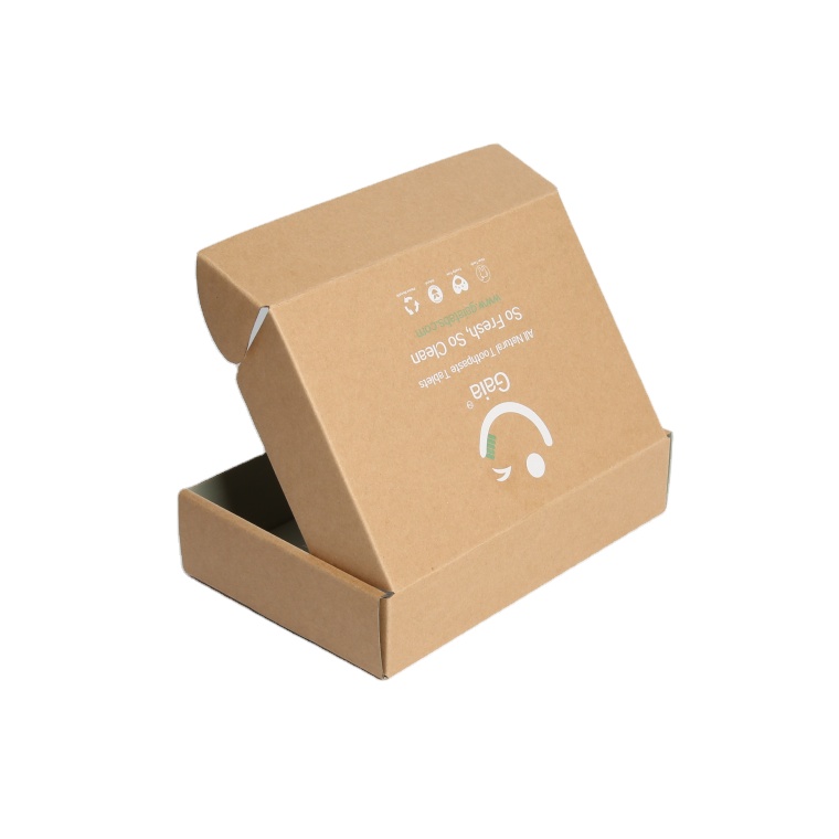 Recycled Custom Logo Double-printed Kraft Carton Eco-Friendly Paper Packaging Box