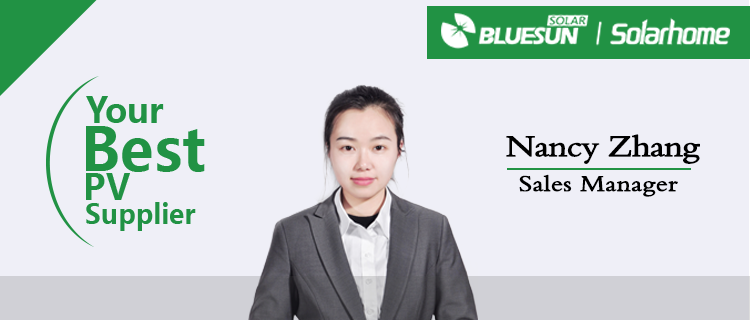 Bluesun Solar Modules and Panels Stock Solar Panel 270W 280w 290w for Home Kits 5BB 60cells ETL TUV Certificates