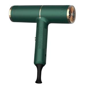 China Fashion Hair Dryer green Ionic Travel Blow Dryer Low Noise High Speed factory