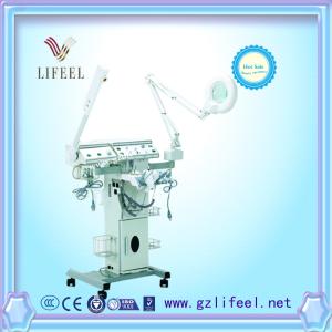 China 12 in 1 multifunctional facial machine beauty equipment (9006) factory