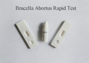 China Plasma Specimen Blood Infection Test Detect Brucella Abortus Antigen 98% Accuracy factory