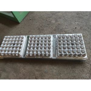 Factory Price Rotary Type 2000pcs Paper Egg Tray Machine Apple Tray Machine Egg