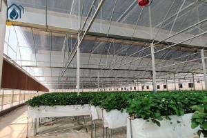 China Large PVC Hydroponic Growing Troughs Strawberry Growing Gutters Easy Installed factory