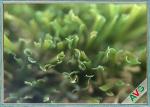 Fastness Garden Landscaping Synthetic Grass No Weather Limitation
