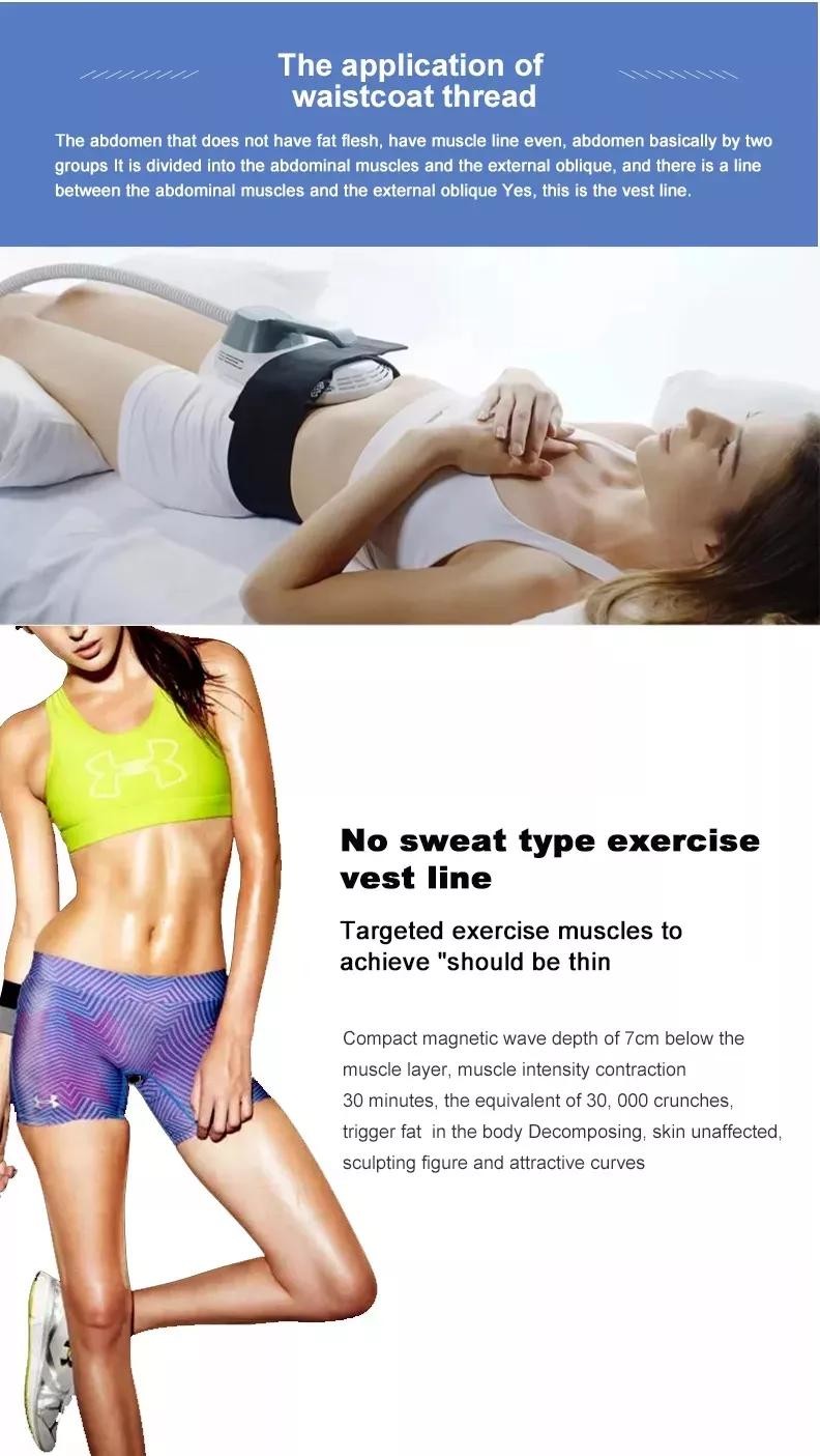 ISO9001 EM Sculpting Body Sculpting Machine 2 Handles