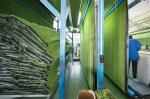 Durable Houses Indoor Grass Mat / Synthetic Green Plastic Grass Door Mats