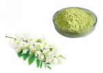 95% 98% Pure Rutin Powder Flower Bud Part Sophora Japonica Extract