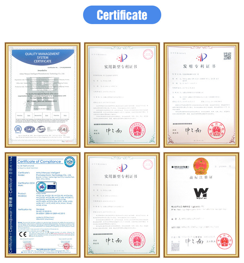 WENYAO High-Speed Sorting Adjustable Parameters for Grain Sorting Lines Optical