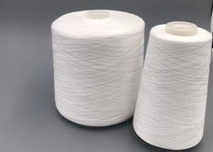 China Eco Friendly Ne 30S/2 100% Spun Polyester Hand Quilting Thread factory
