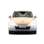 401km 500km Mini EV Cars 155km/Hr GWM Ora Ballet Cat Range 5 Seater Hatchback