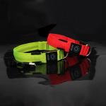 Pet LED Dog Collar Light Premium Waterproof Adjustable Luminous Training Nylon