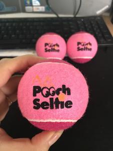 China pet toy rubber tennis ball factory