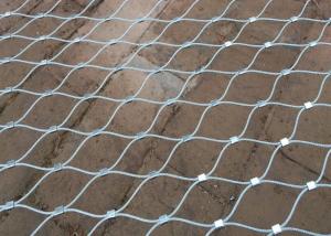 China 1.2mm Stainless Steel Bird Mesh/ stainless steel wire mesh for bird cages factory