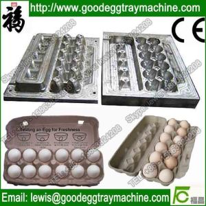 Egg Tray Molds injection mould making
