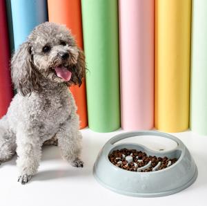 China Slow Feeder Food Water 2 In 1 Bowl For Small Medium Dogs factory