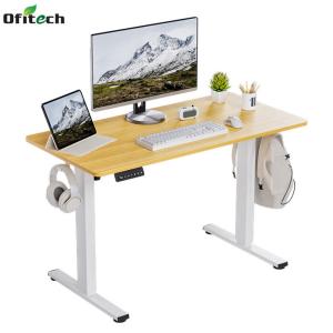 China SPCC Steel/Iron Frame Material Electric Height Adjustable Stand Up Desk for Home Office factory
