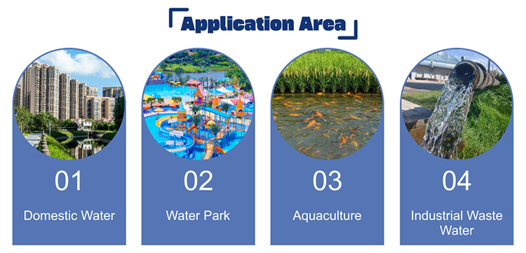 Whole Industry Water Filtration System Filtration Equipment Water Purification UF Ultrafiltration System