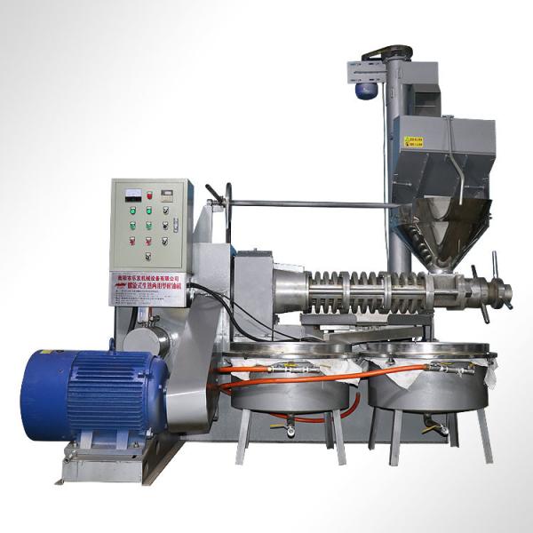 6yl 100 Sunflower Seeds Coconut Oil press Machine Cold Pressed With Oil Filter